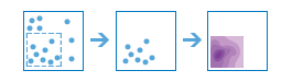 Diagrama de tres partes que se genera con un centrado en un conjunto determinado de puntos